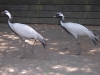 100_6072.jpg